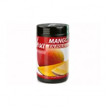 mangue-en-poudre-700g (2)